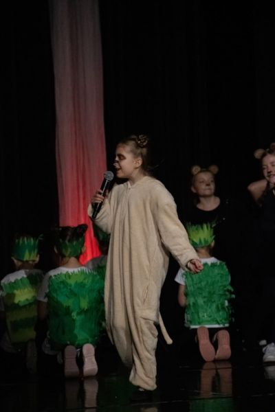 IMG 3591