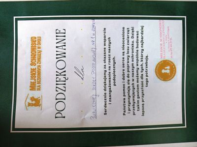 IMG 20250404 085119873 HDR