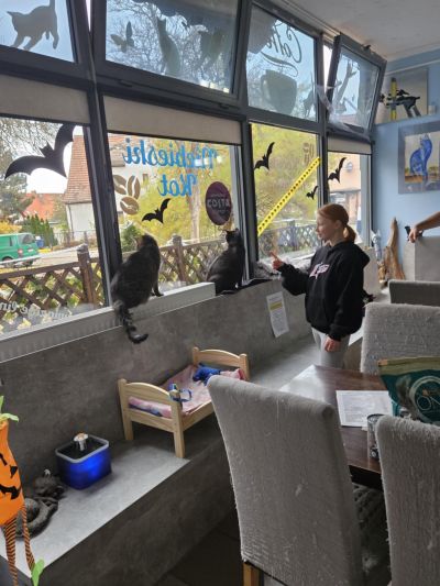 097cbdbd-7cd5-4026-a5f1-538e5d458c96