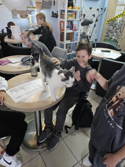 5ddb730e-1de5-4bda-ad3b-e1bb83ec66b0