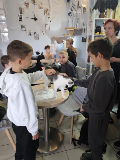 61639c9e-2f5c-46a8-a230-48317452dc44