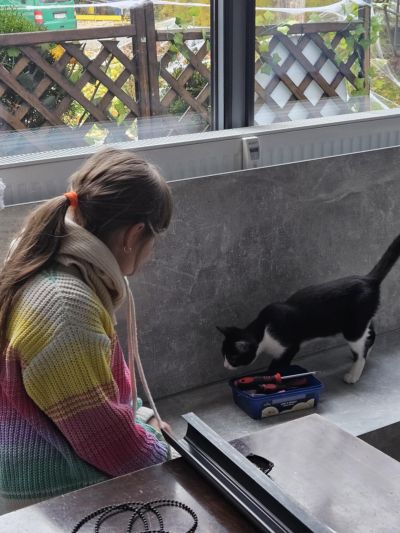 C5b5918a-63ff-41cf-8eba-37403d04259d