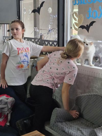 Eb370a2d-2b0e-4ca0-9cc6-b9cf2e4fd3c8